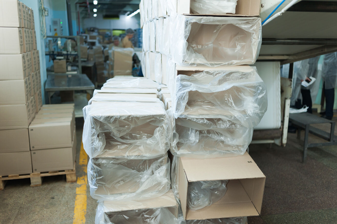 Sacherie_PE_AdobeStock_234612855 Sacherie_PE_AdobeStock_234612855